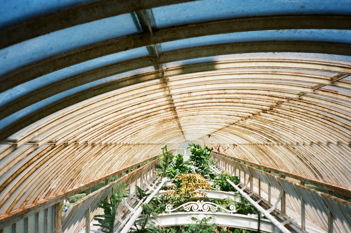 Inside greenhouse